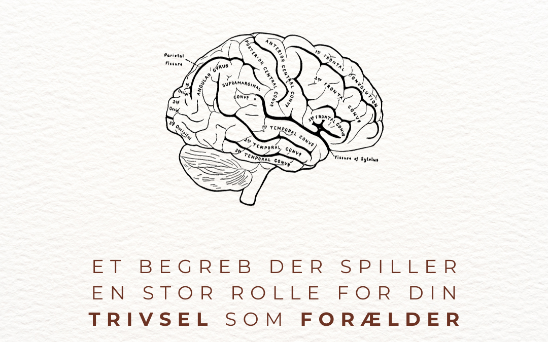 “Kognitiv dissonans” – et begreb, der spiller en stor rolle for din trivsel som forælder